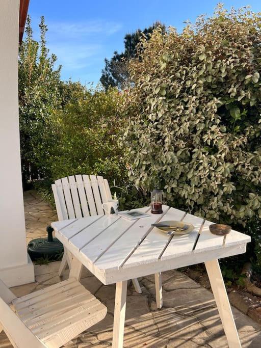 Agreable Maison Landaise Proche Du Lac 桑吉内 外观 照片