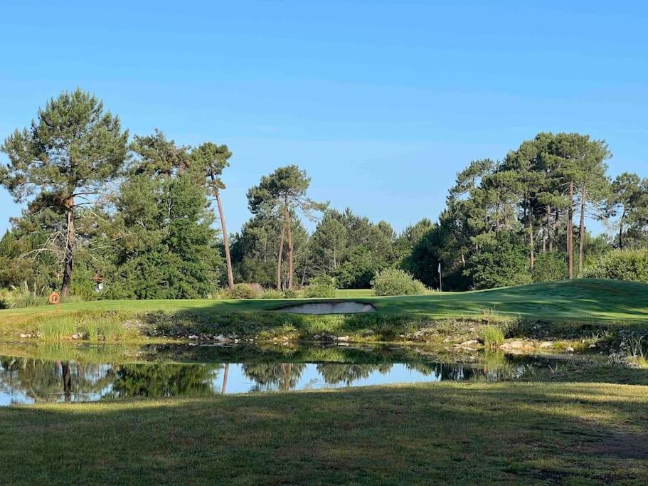 Agreable Maison Landaise Proche Du Lac 桑吉内 外观 照片