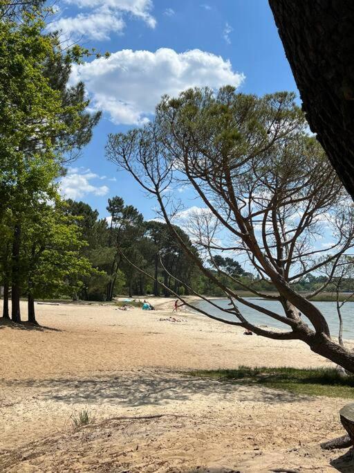 Agreable Maison Landaise Proche Du Lac 桑吉内 外观 照片