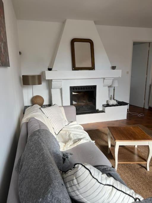 Agreable Maison Landaise Proche Du Lac 桑吉内 外观 照片